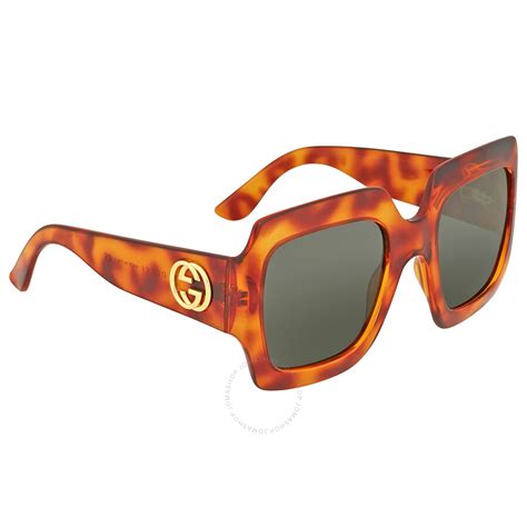 gucci 53mm square sunglasses havana|gucci overzi sunglasses.